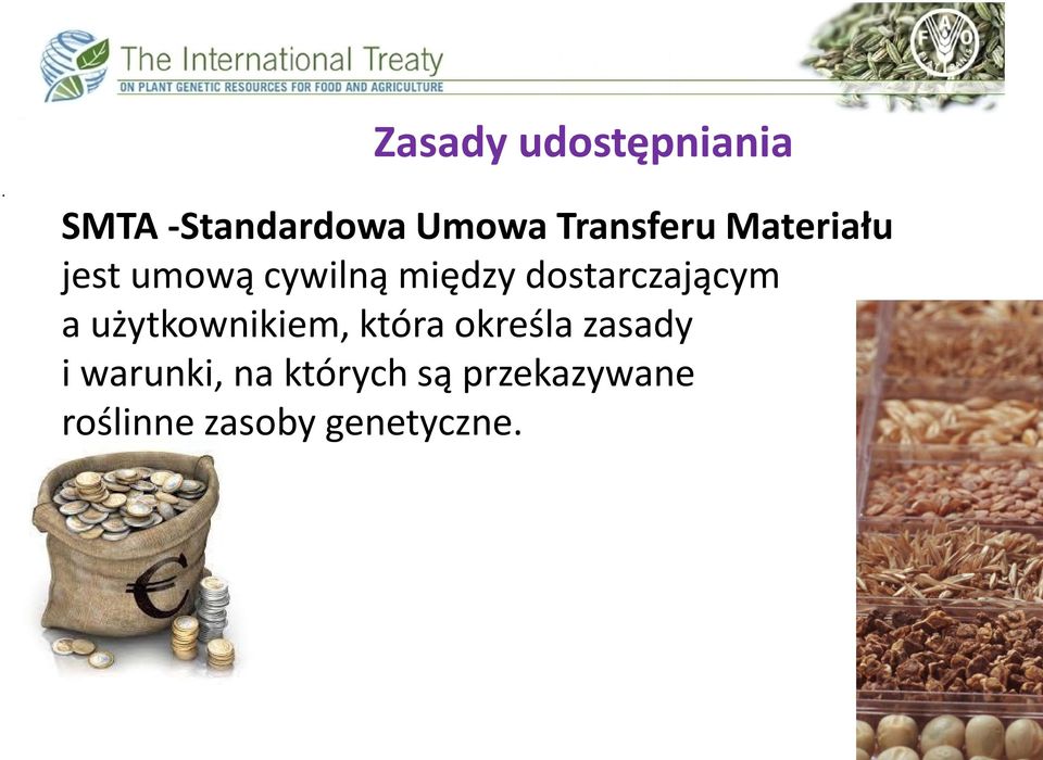 dostarczającym a użytkownikiem, która określa zasady