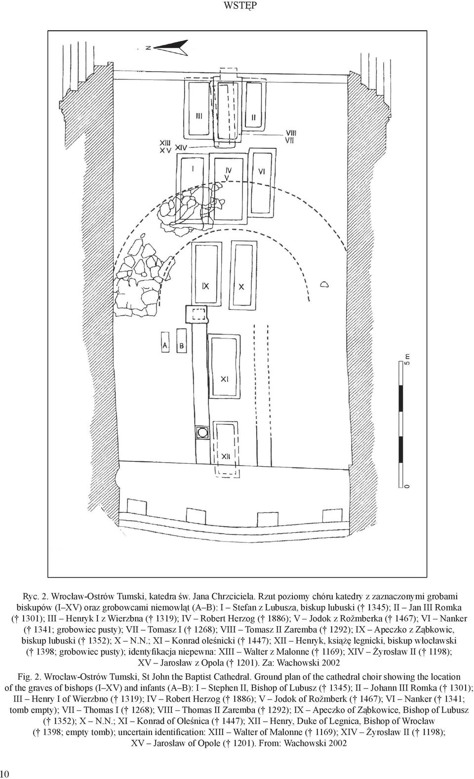 1319); IV Robert Herzog ( 1886); V Jodok z Rožmberka ( 1467); VI Nanker ( 1341; grobowiec pusty); VII Tomasz I ( 1268); VIII Tomasz II Zaremba ( 1292); IX Apeczko z Ząbkowic, biskup lubuski ( 1352);