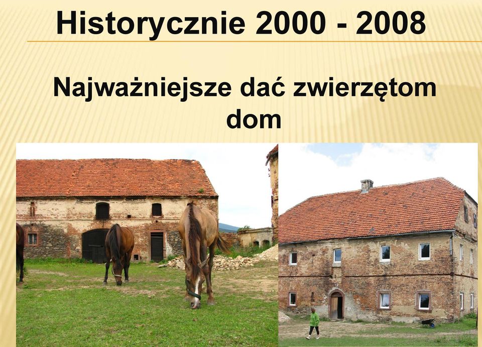 zwierzętom dom Stajnia