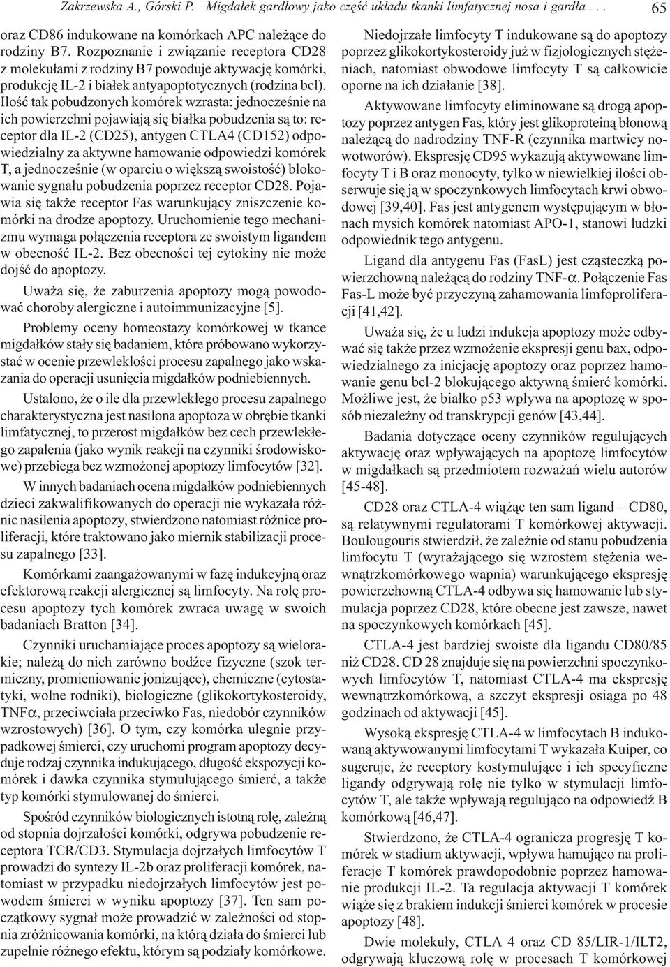 Iloœæ tak pobudzonych komórek wzrasta: jednoczeœnie na ich powierzchni pojawiaj¹ siê bia³ka pobudzenia s¹ to: receptor dla IL-2 (CD25), antygen CTLA4 (CD152) odpowiedzialny za aktywne hamowanie