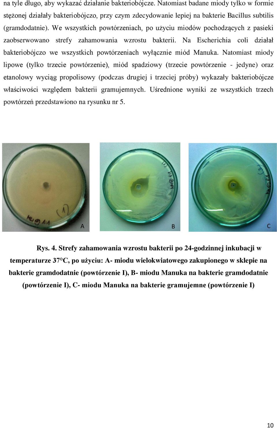 Na Escherichia coli działał bakteriobójczo we wszystkich powtórzeniach wyłącznie miód Manuka.