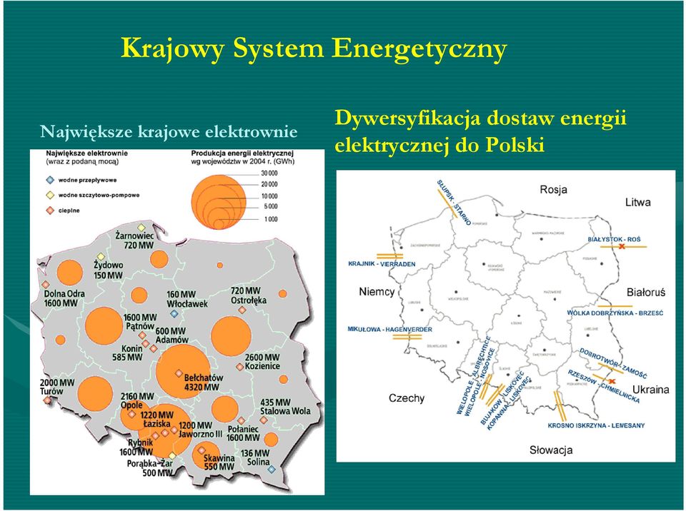 elektrownie Dywersyfikacja