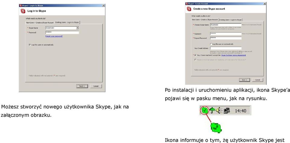 Po instalacji i uruchomieniu aplikacji, ikona Skype