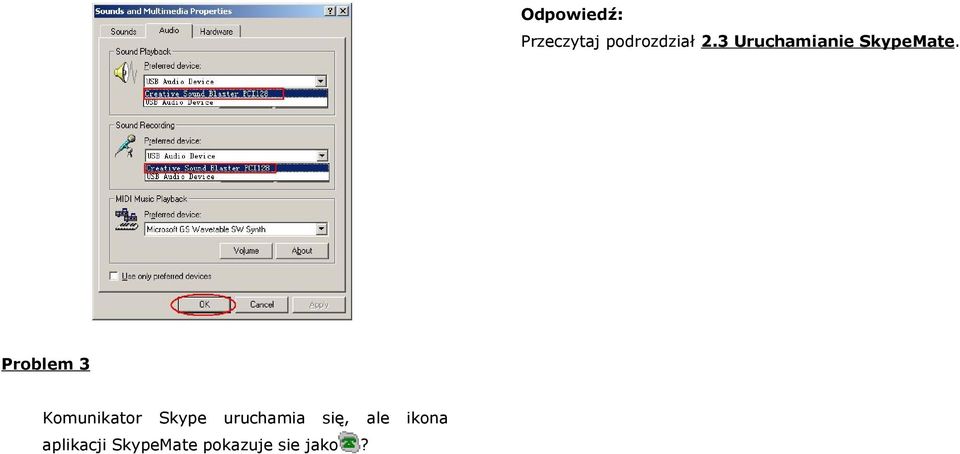 Problem 3 Komunikator Skype uruchamia
