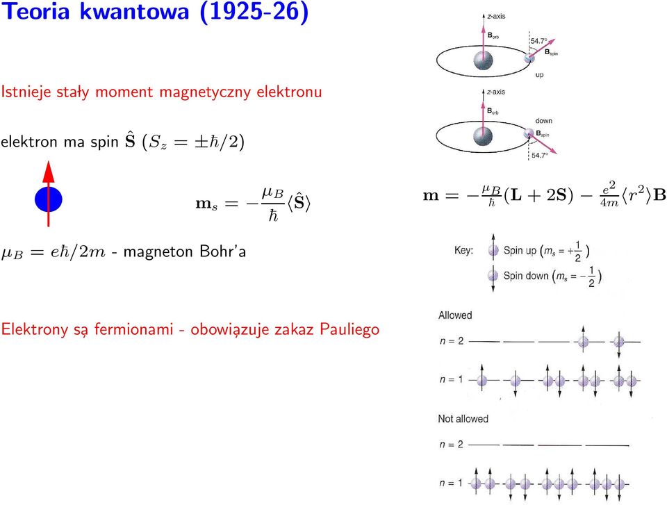 ms = µ B Ŝ µb = e /2m - magneton Bohr a Elektrony s a