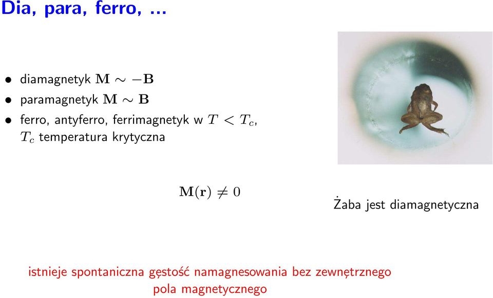 ferrimagnetyk w T < T c, T c temperatura krytyczna M(r) 0