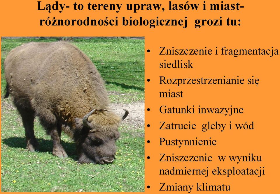 Rozprzestrzenianie się miast Gatunki inwazyjne Zatrucie gleby