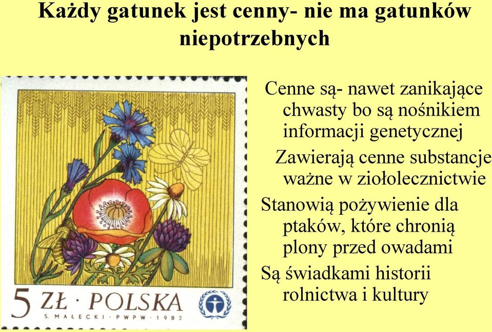 cenne substancje ważne w ziołolecznictwie Stanowią pożywienie dla