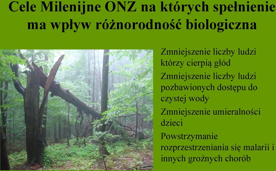 liczby ludzi pozbawionych dostępu do czystej wody Zmniejszenie