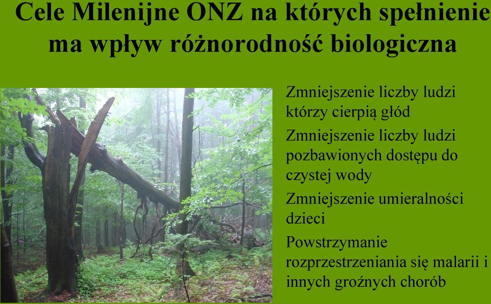 liczby ludzi pozbawionych dostępu do czystej wody Zmniejszenie