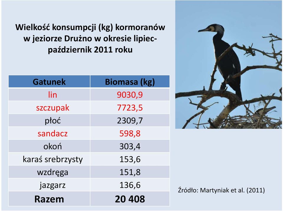 szczupak 7723,5 płoć 2309,7 sandacz 598,8 okoń 303,4 karaś