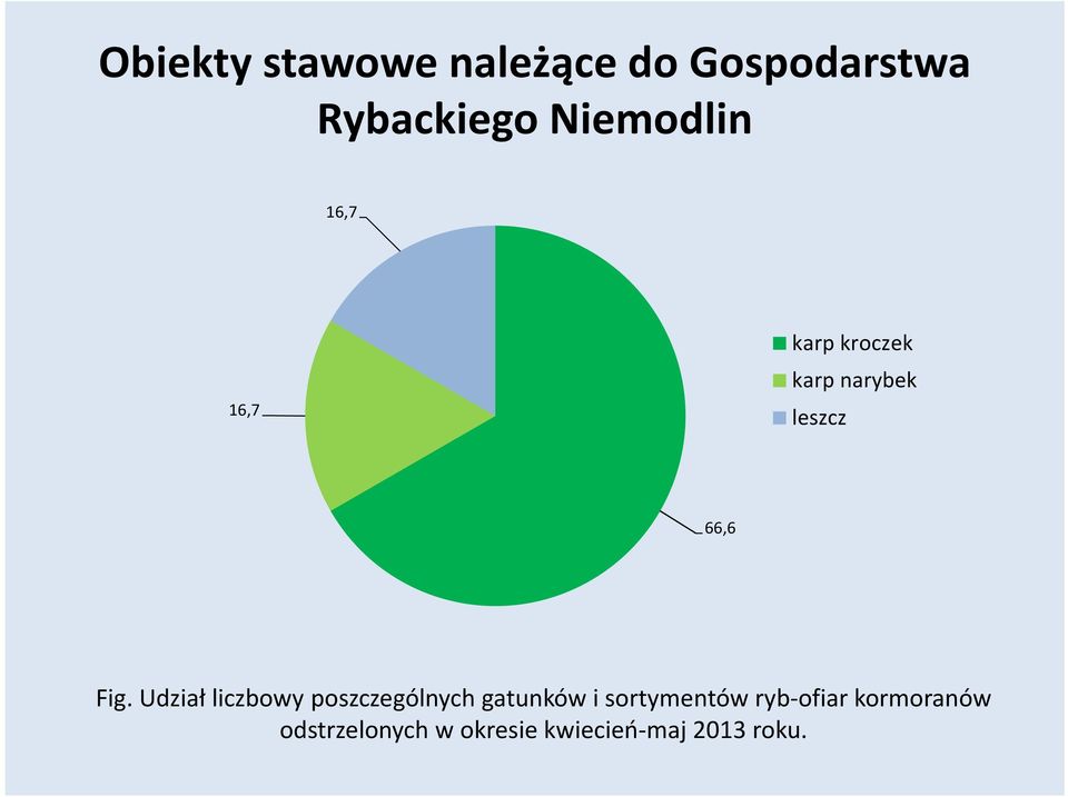 Fig. Udział liczbowy poszczególnych gatunków i sortymentów