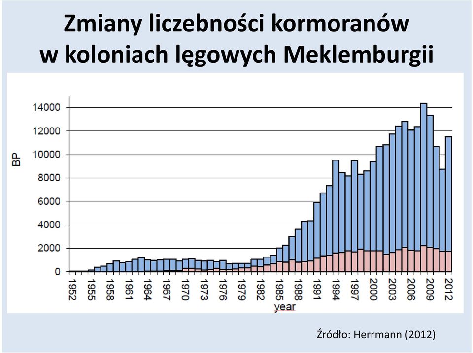 koloniach lęgowych