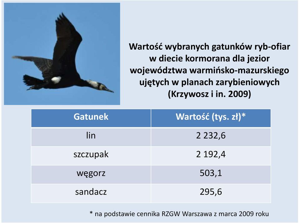 (Krzywosz i in. 2009) Gatunek Wartość (tys.