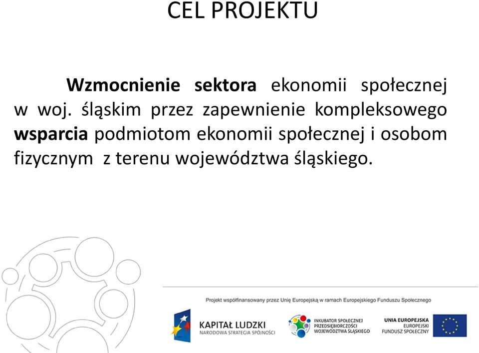 śląskim przez zapewnienie kompleksowego