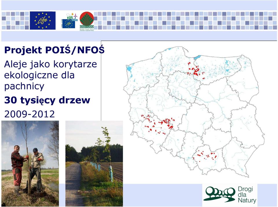 ekologiczne dla