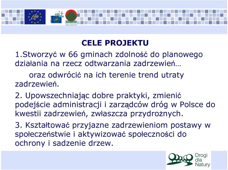 ich terenie trend utraty zadrzewień. 2.