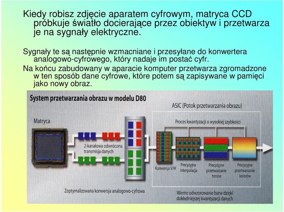 Sygnały te są następnie wzmacniane i przesyłane do konwertera analogowo-cyfrowego, który nadaje