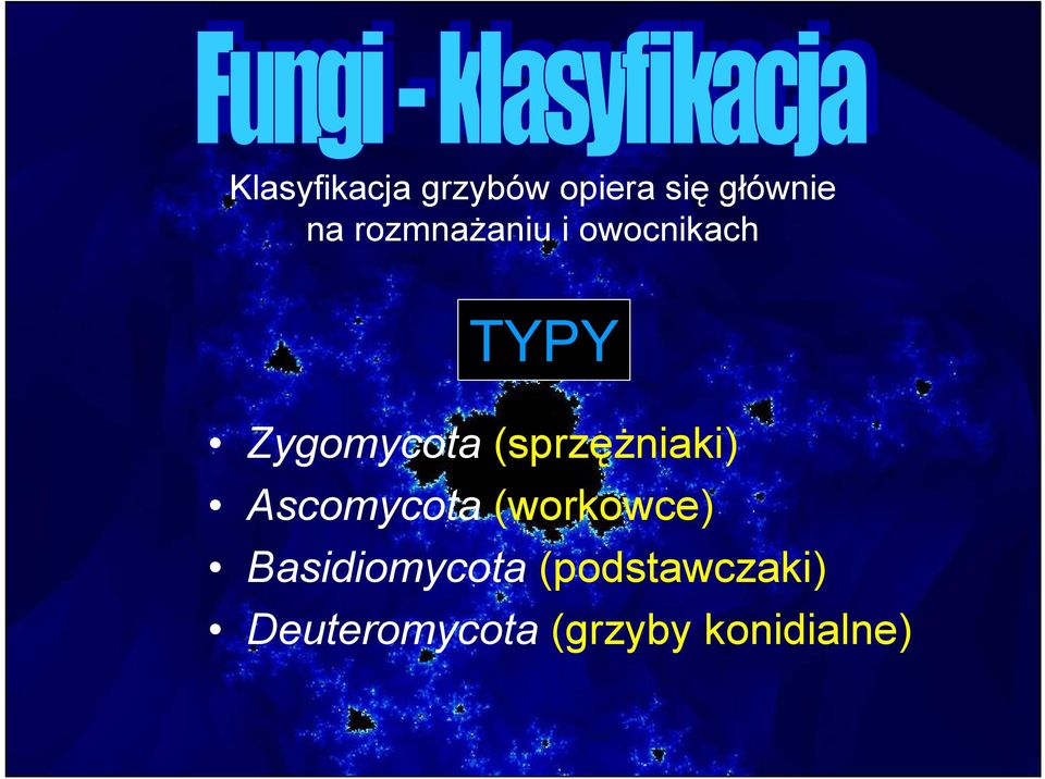 (sprzęŝniaki) Ascomycota (workowce)