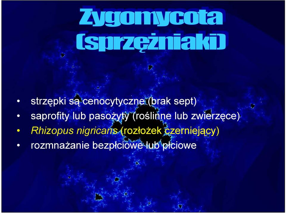 zwierzęce) Rhizopus nigricans (rozłoŝek