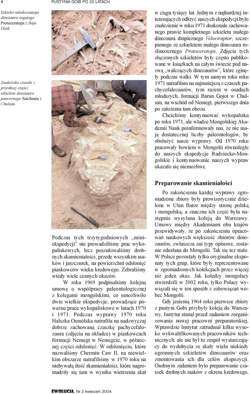 szczepionego ze szkieletem ma ego dinozaura ro- lino ernego Protoceratops.