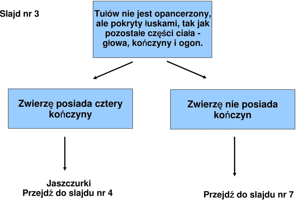 kończyny i ogon.