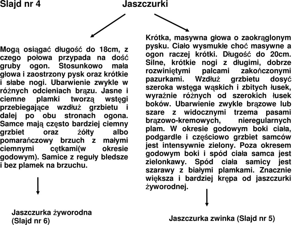 Samce mają często bardziej ciemny grzbiet oraz żółty albo pomarańczowy brzuch z małymi ciemnymi cętkami(w okresie godowym). Samice z reguły bledsze i bez plamek na brzuchu.