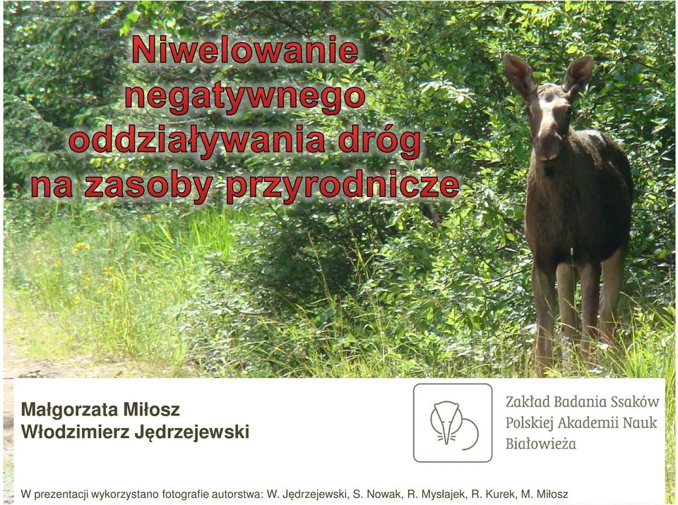 wykorzystano fotografie autorstwa: W.