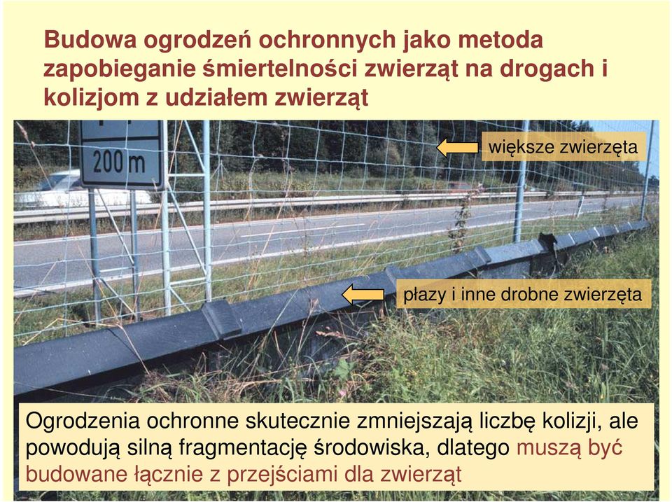 zwierzęta Ogrodzenia ochronne skutecznie zmniejszają liczbę kolizji, ale powodują