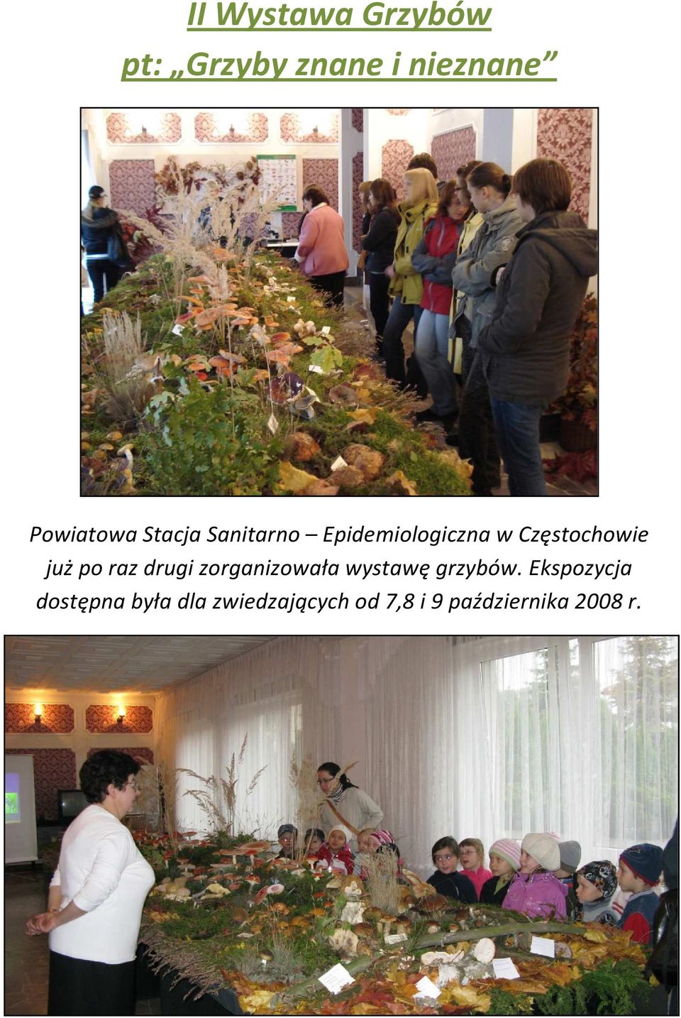 raz drugi zorganizowała wystawę grzybów.