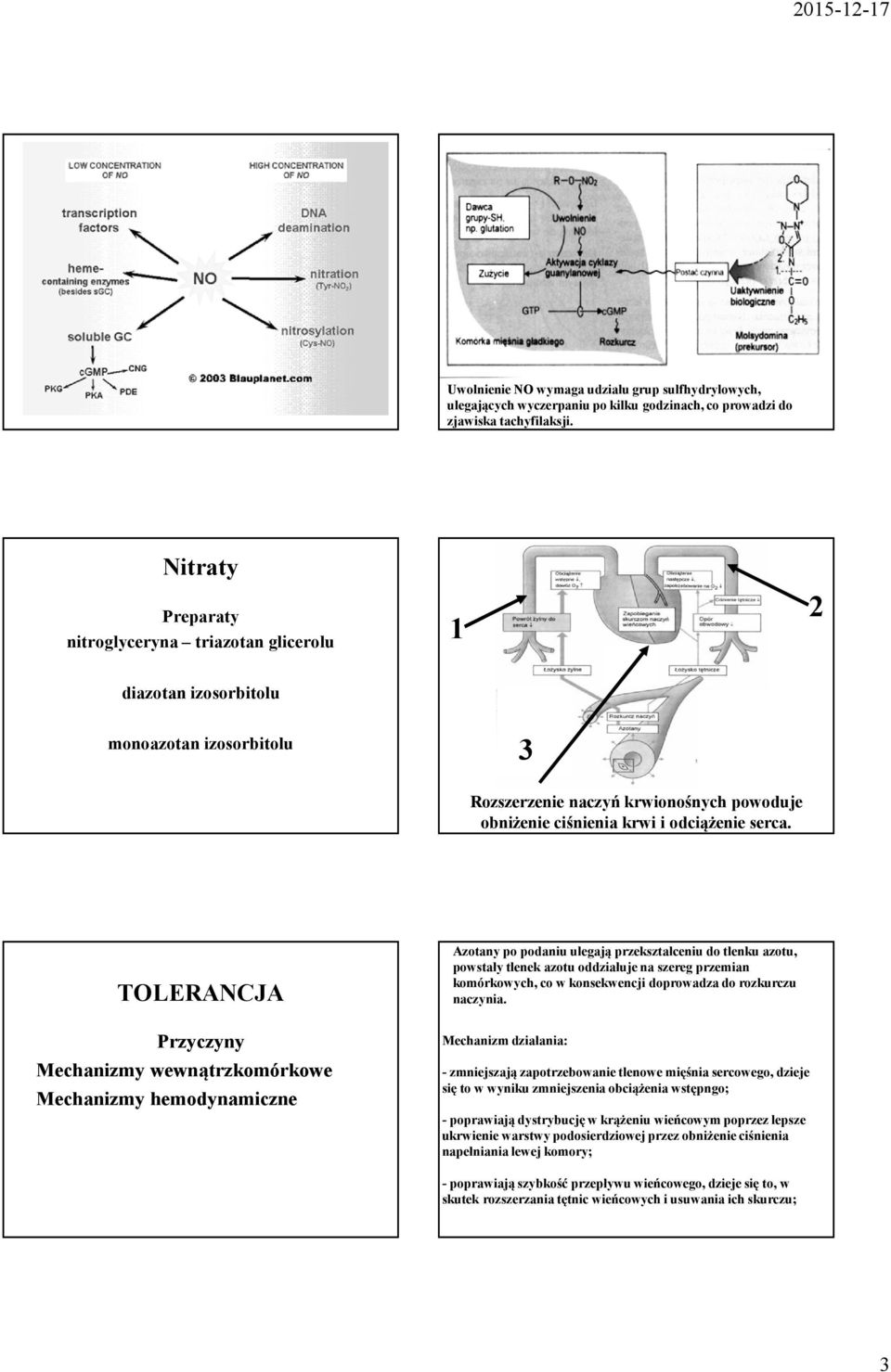 TOLERANCJA Przyczyny Mechanizmy wewnątrzkomórkowe Mechanizmy hemodynamiczne Azotany po podaniu ulegają przekształceniu do tlenku azotu, powstały tlenek azotuoddziałuje na szereg przemian komórkowych,