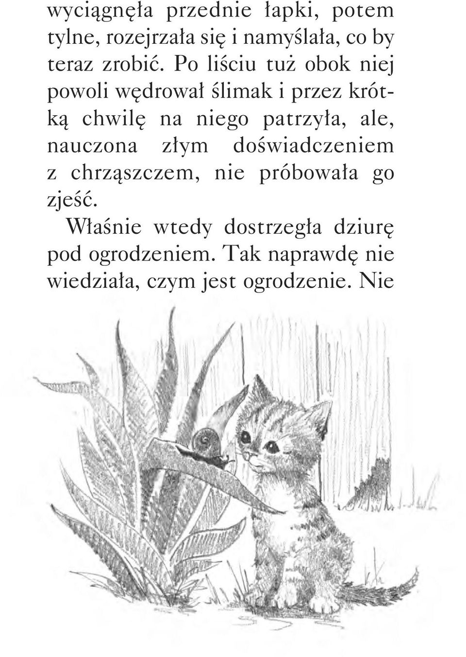 ale, nauczona złym doświadczeniem z chrząszczem, nie próbowała go zjeść.