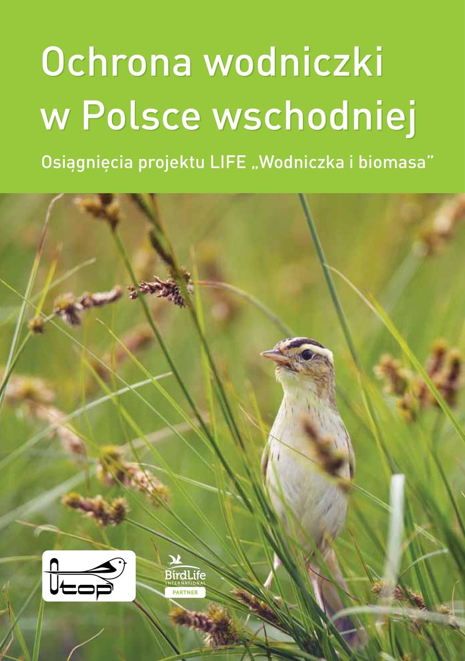 Osiągnięcia projektu