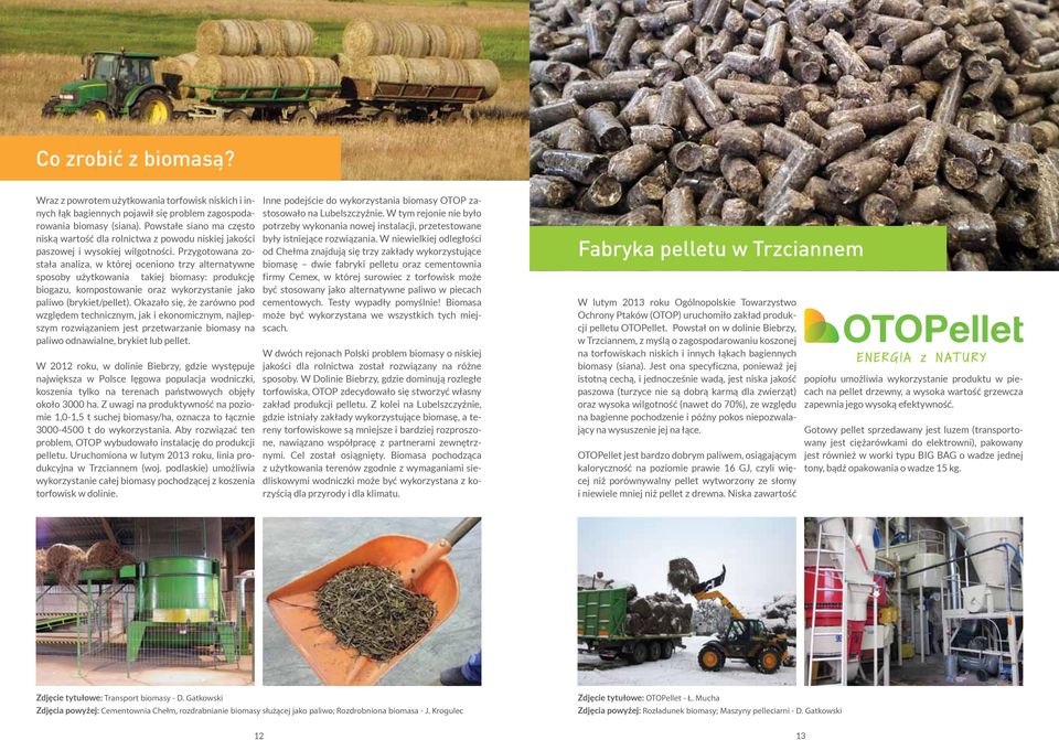 Przygotowana została analiza, w której oceniono trzy alternatywne sposoby użytkowania takiej biomasy: produkcję biogazu, kompostowanie oraz wykorzystanie jako paliwo (brykiet/pellet).