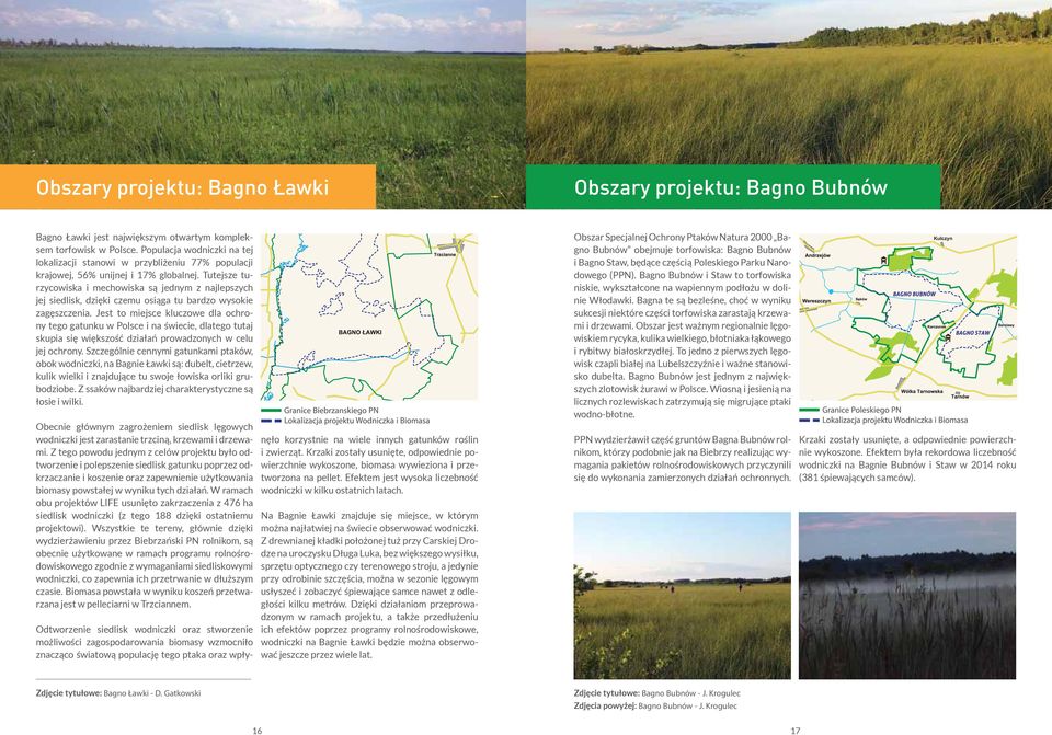 Tutejsze turzycowiska i mechowiska są jednym z najlepszych jej siedlisk, dzięki czemu osiąga tu bardzo wysokie zagęszczenia.