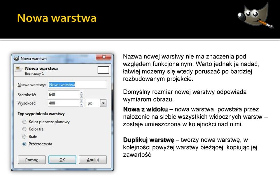 Domyślny rozmiar nowej warstwy odpowiada wymiarom obrazu.