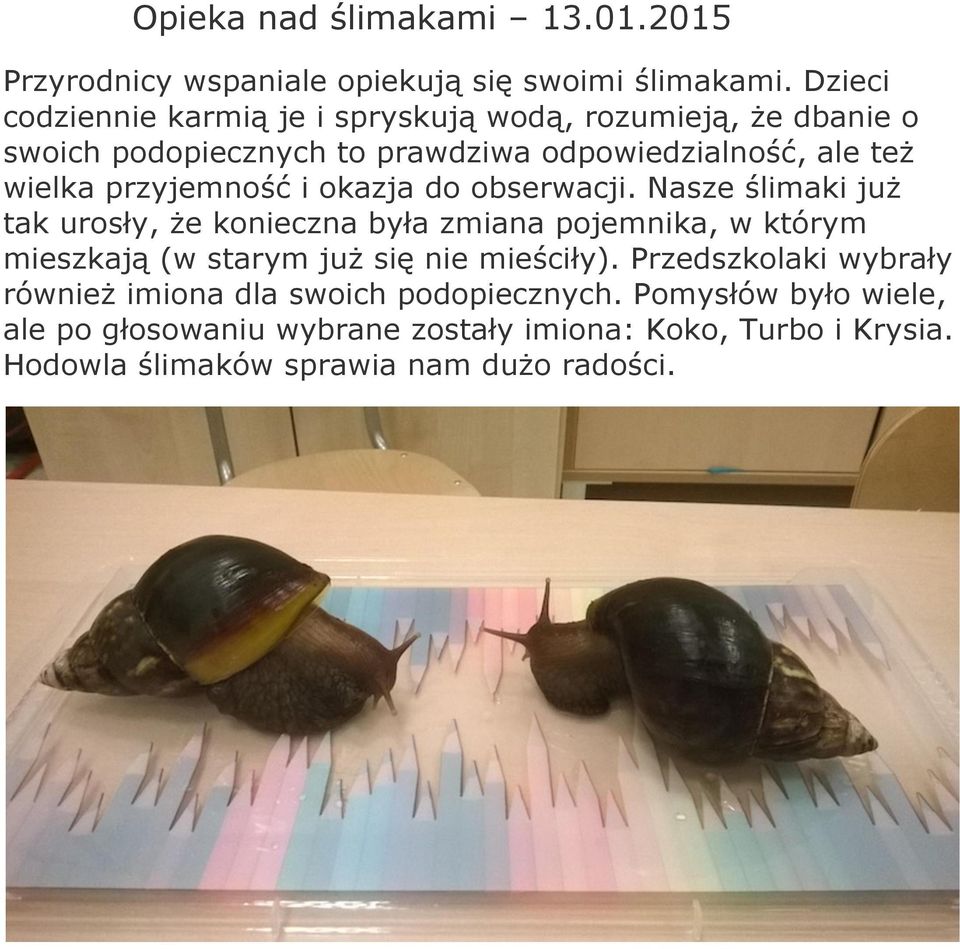 przyjemność i okazja do obserwacji.