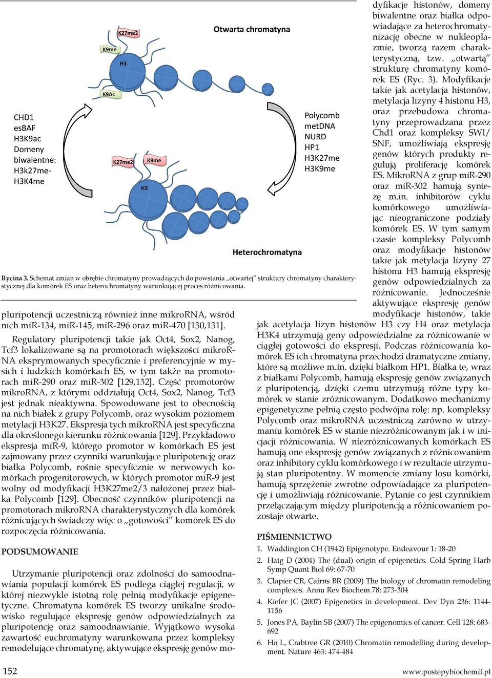 Regulatory pluripotencji takie jak Oct4, Sox2, Nanog, Tcf3 lokalizowane są na promotorach większości mikror- NA eksprymowanych specyficznie i preferencyjnie w mysich i ludzkich komórkach ES, w tym