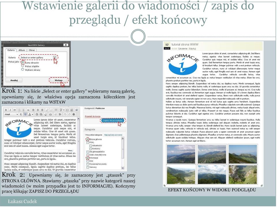 Krok 2: Upewniamy się, że zaznaczony jest ptaszek przy STRONA GŁÓWNA.
