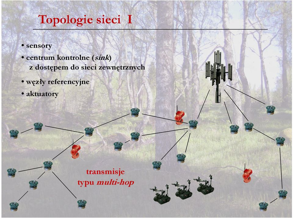 sieci zewnętrznych węzły