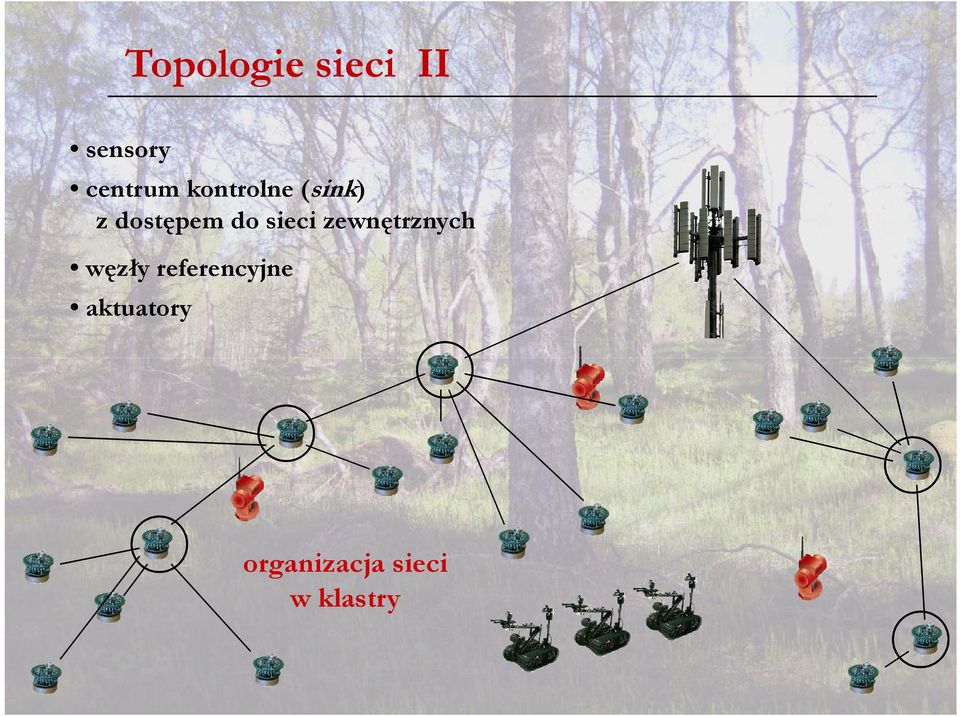 sieci zewnętrznych węzły