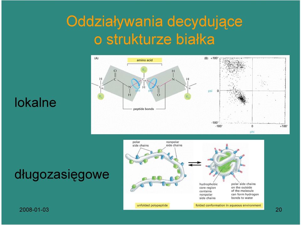 strukturze białka