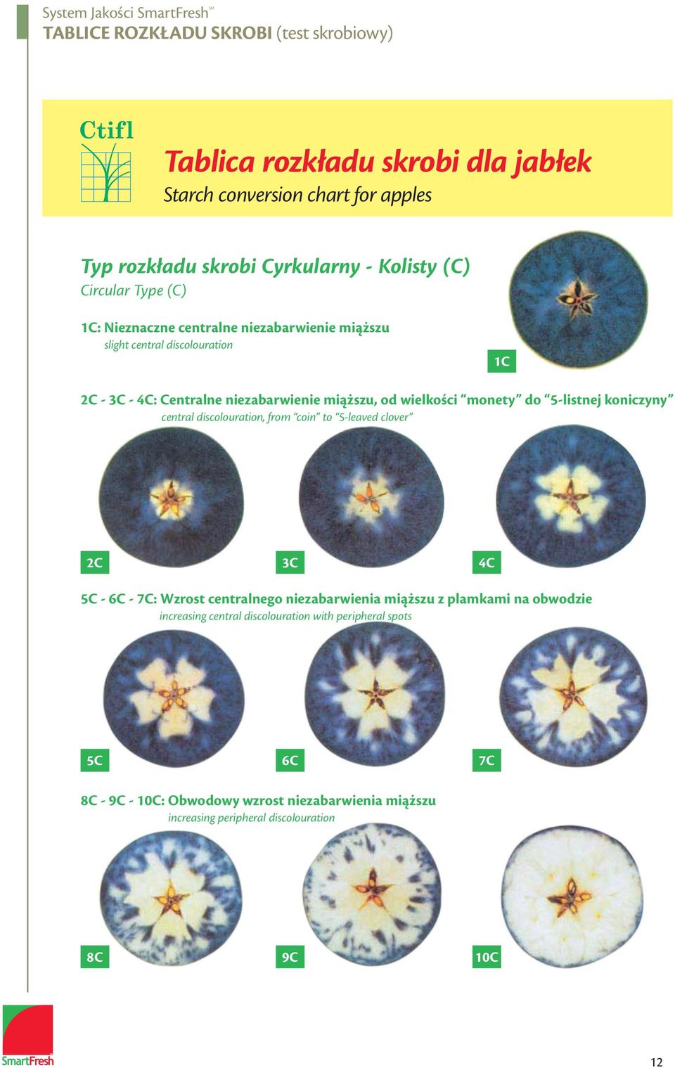 monety do 5-listnej koniczyny central discolouration, from coin to 5-leaved clover 2C 3C 4C 5C - 6C - 7C: Wzrost centralnego niezabarwienia miąższu z plamkami na