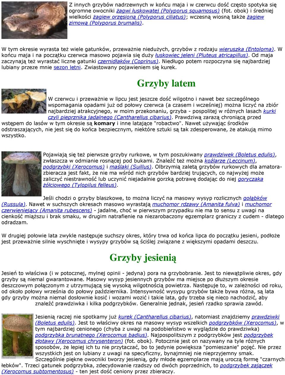 W tym okresie wyrasta też wiele gatunków, przeważnie niedużych, grzybów z rodzaju wieruszka (Entoloma).