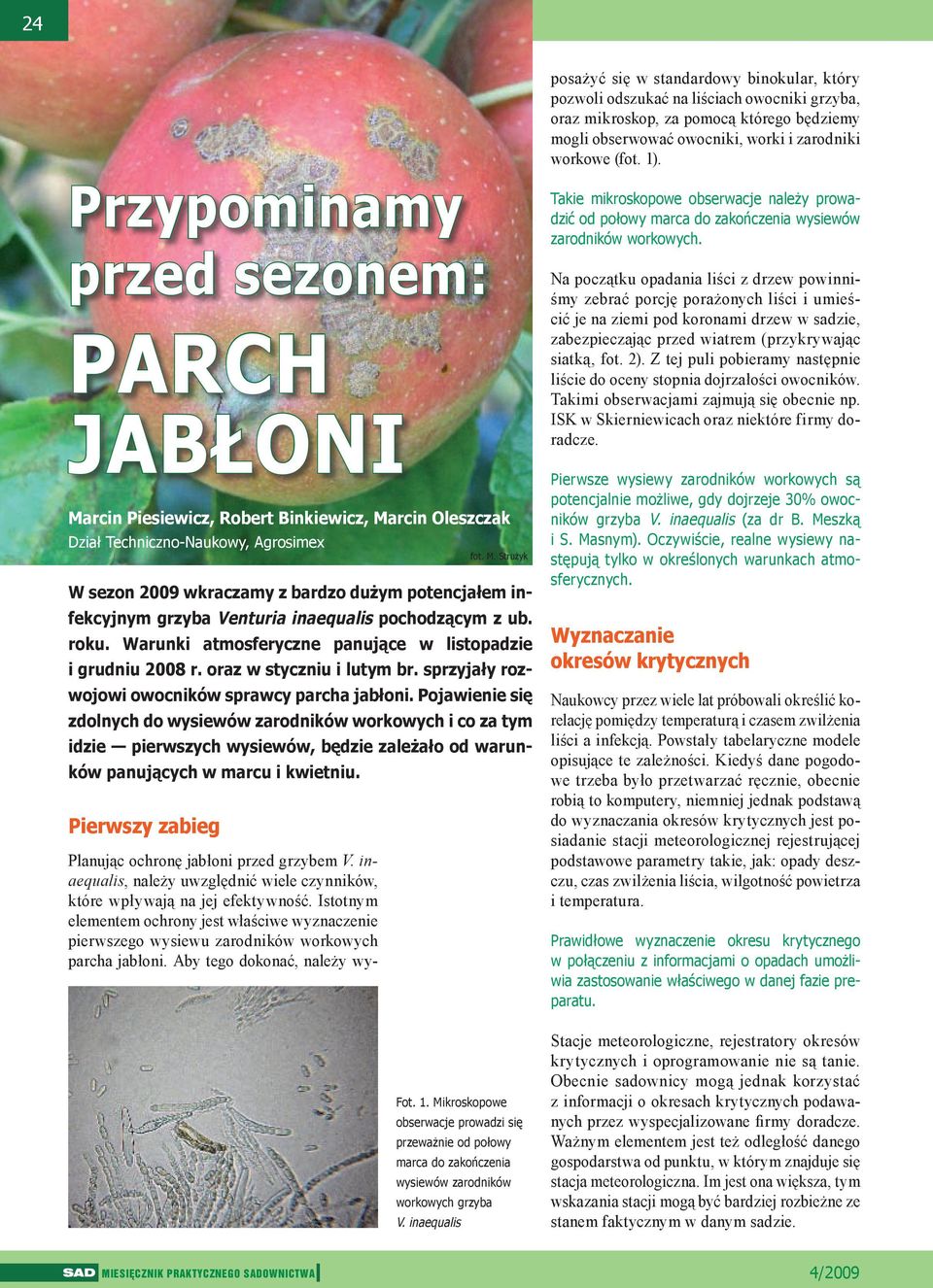 grzyba Venturia inaequalis pochodzącym z ub. roku. Warunki atmosferyczne panujące w listopadzie i grudniu 2008 r. oraz w styczniu i lutym br. sprzyjały rozwojowi owocników sprawcy parcha jabłoni.