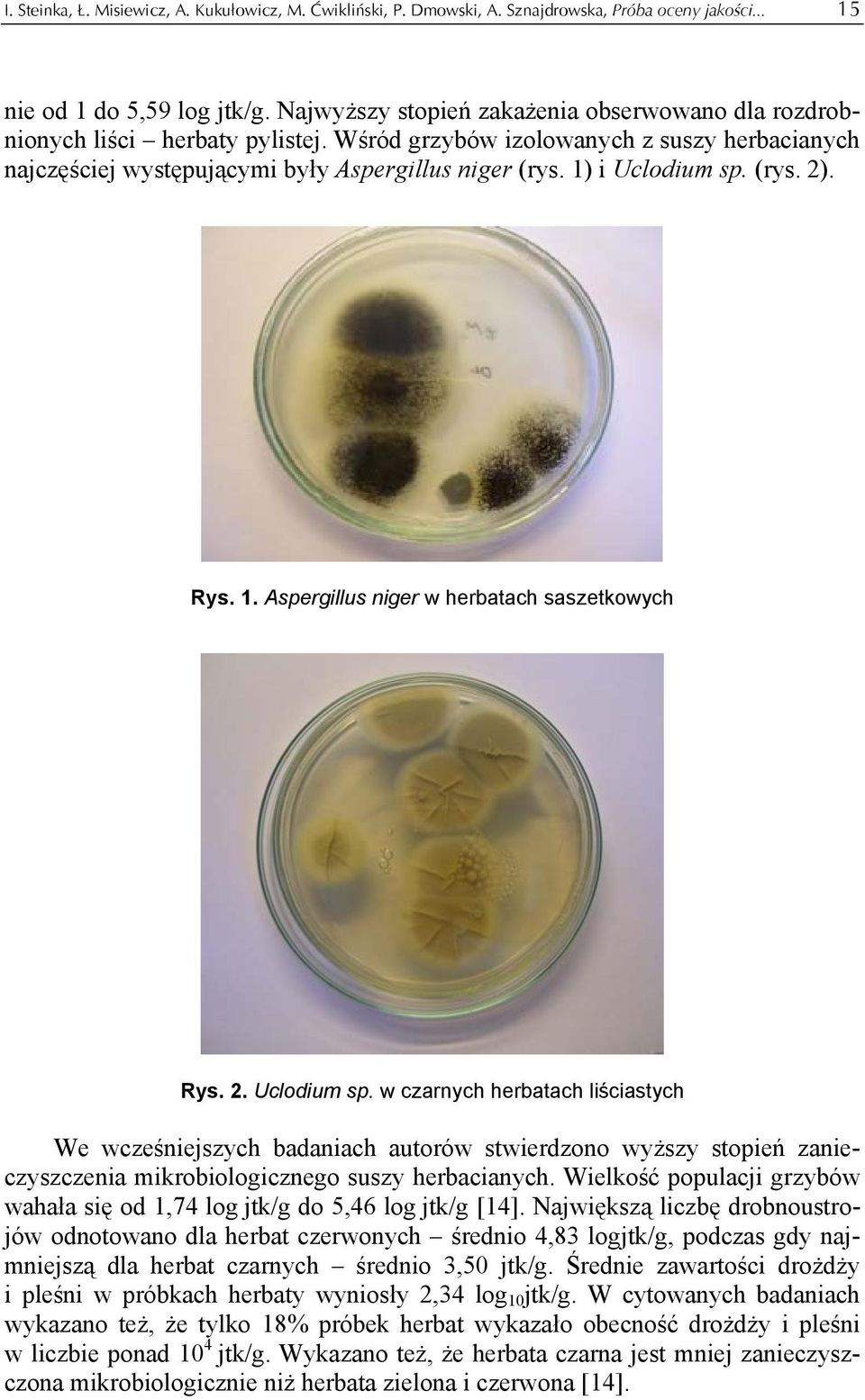 1) i Uclodium sp. (rys. 2). Rys. 1. Aspergillus niger w herbatach saszetkowych Rys. 2. Uclodium sp. w czarnych herbatach liściastych We wcześniejszych badaniach autorów stwierdzono wyższy stopień zanieczyszczenia mikrobiologicznego suszy herbacianych.