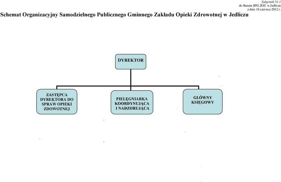 Opieki Zdrowotnej w Jedliczu DYREKTOR ZASTĘPCA DYREKTORA DO SPRAW