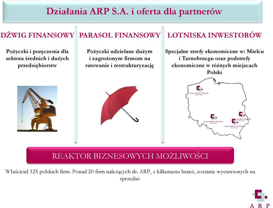 i oferta dla partnerów DŹWIG FINANSOWY PoŜyczki i poręczenia dla sektora średnich i duŝych przedsiębiorstw PARASOL