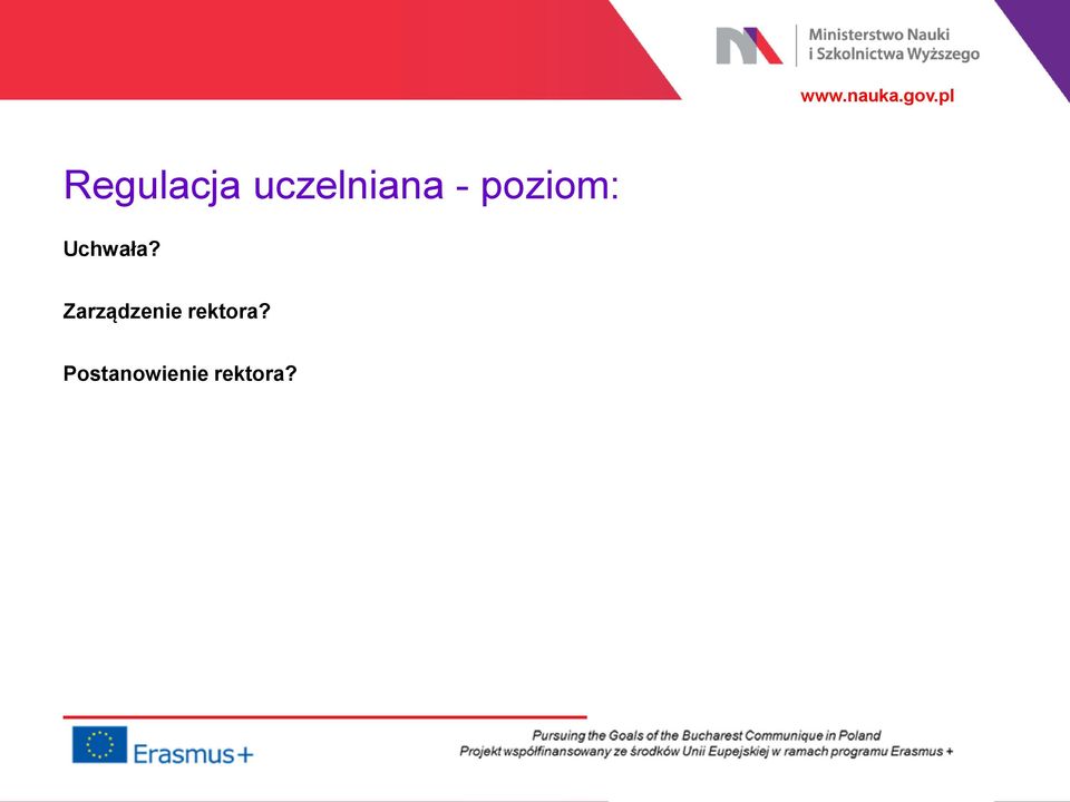 Zarządzenie rektora?