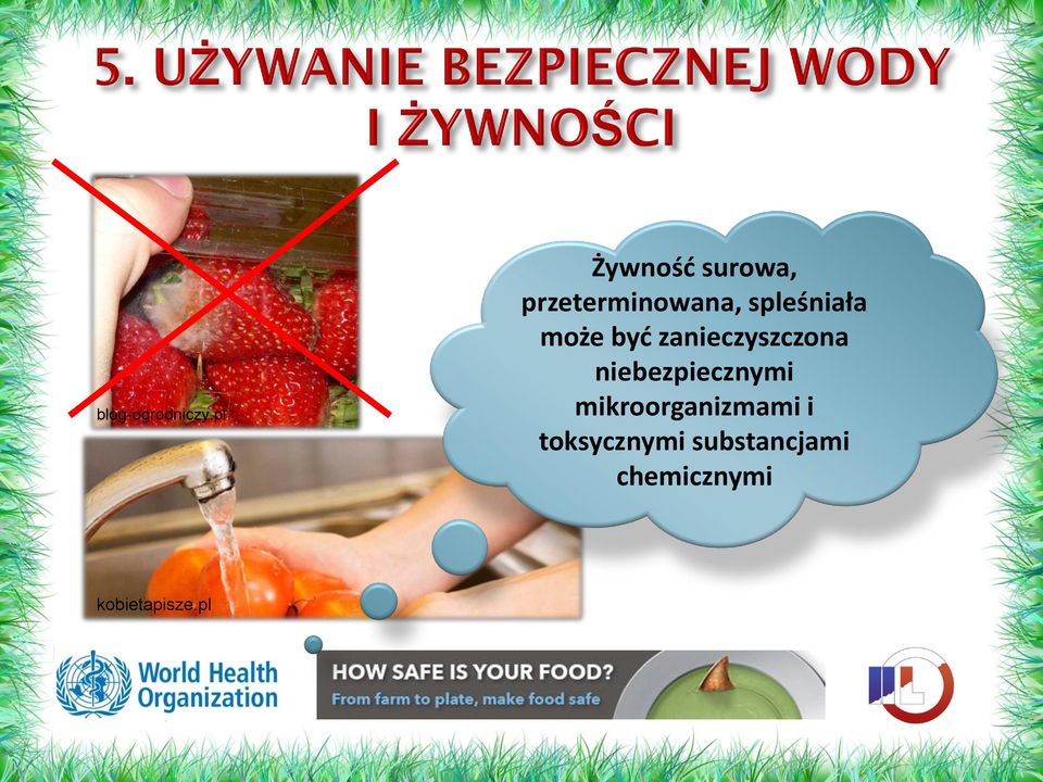 spleśniała może być zanieczyszczona